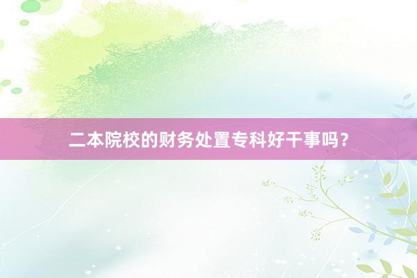 二本院校的财务处置专科好干事吗？