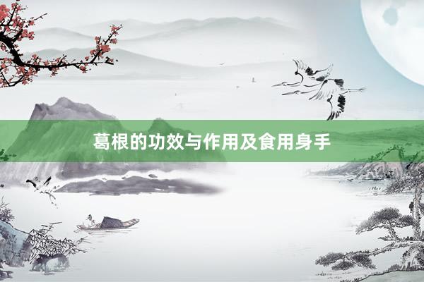 葛根的功效与作用及食用身手