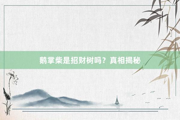 鹅掌柴是招财树吗？真相揭秘