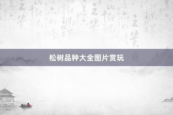 松树品种大全图片赏玩